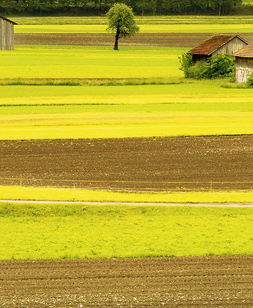 粉象生活账号可以注销吗