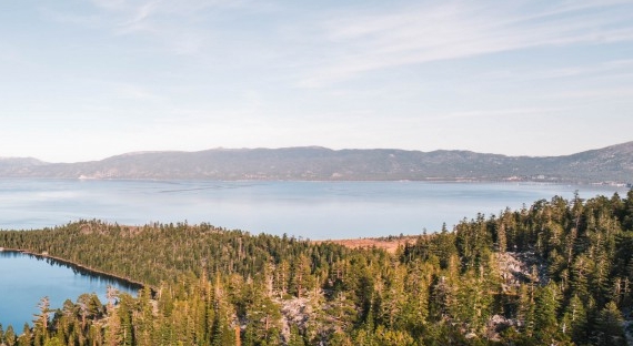 粉象生活被冻结