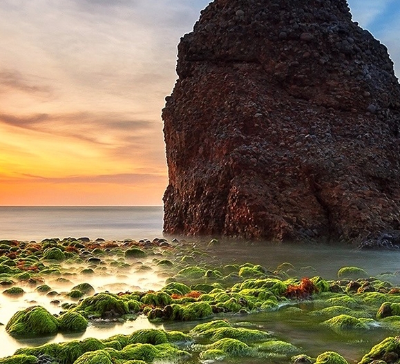 粉象生活邀请码