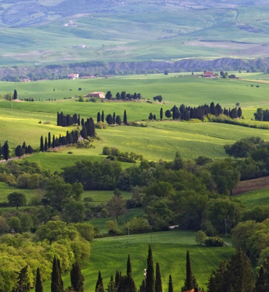 粉象生活能赚钱吗