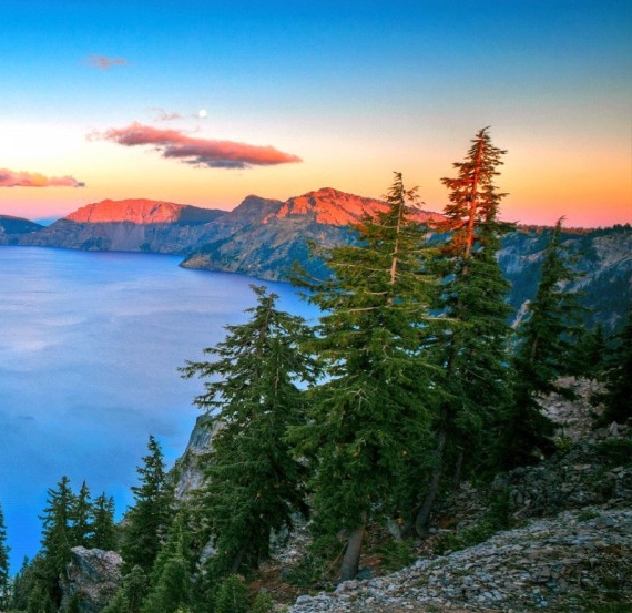 粉象生活要交钱吗