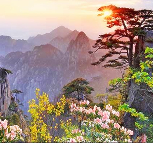 粉象生活什么时候开始上线的