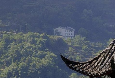 粉象生活是什么