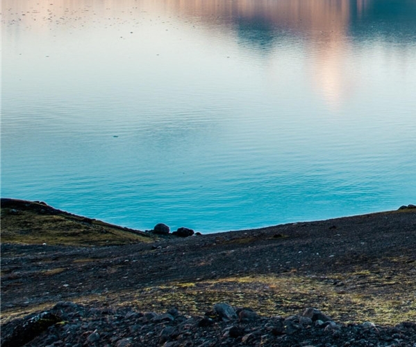 粉象生活下载app