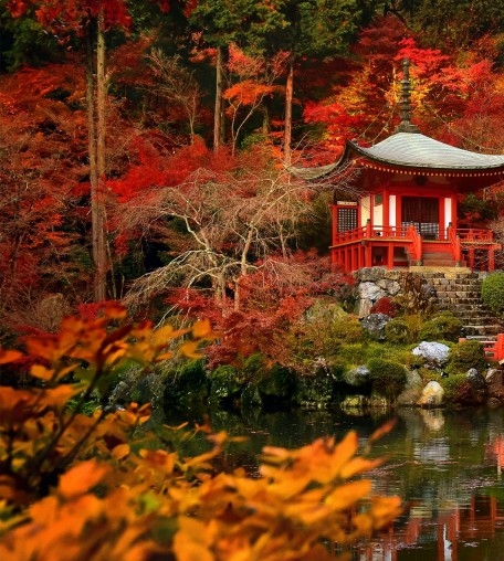 双鱼男粉象生活