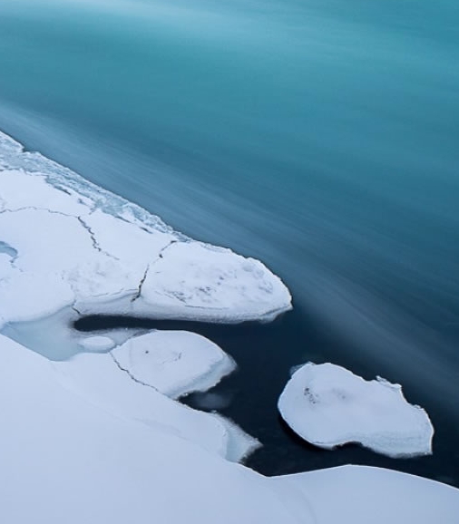 粉象生活是干嘛的