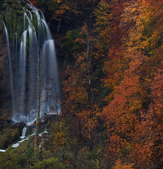 粉象生活怎样宣传