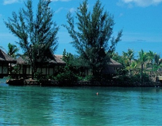 粉象生活下载app