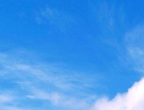 粉象生活怎么赚钱的