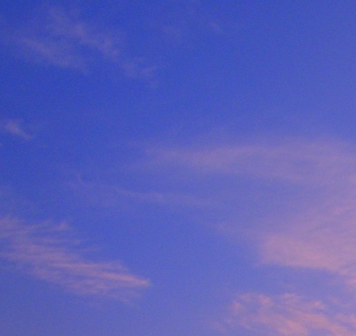 粉象生活为什么下载不了图片