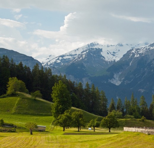 粉象生活真实收入