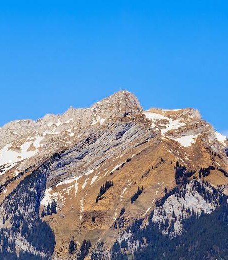 粉象生活拆红包是真的吗