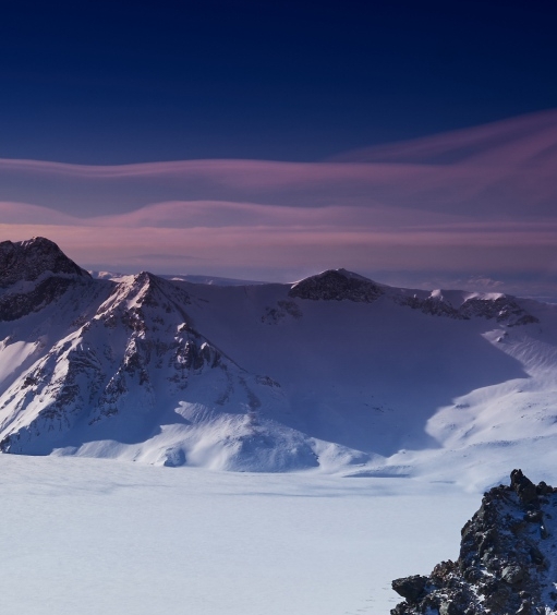 粉象生活粉丝怎么增加