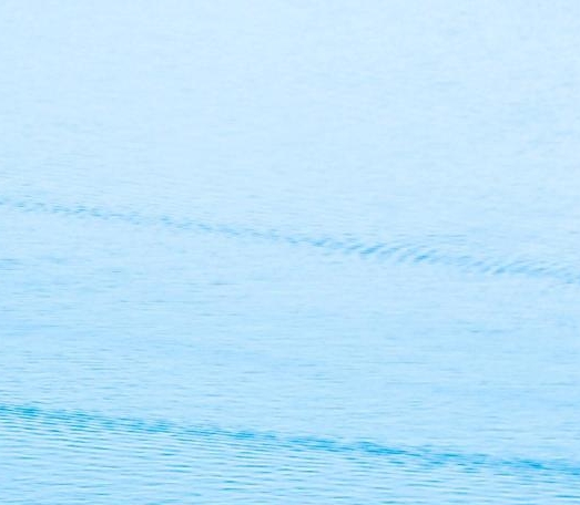 江西粉象生活邀请人