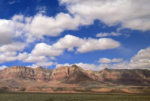 建行生活麦当劳优惠券
