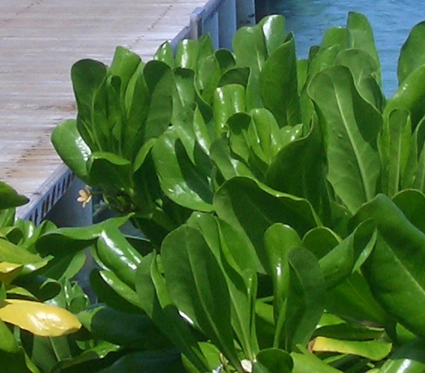 粉象生活发货技巧