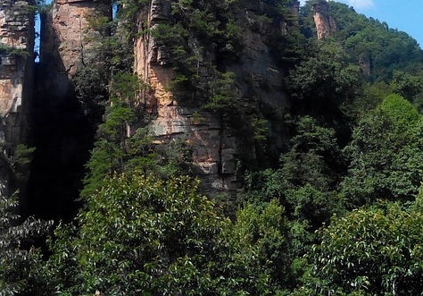 山东粉象生活真省钱