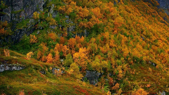 淘宝粉象生活攻略