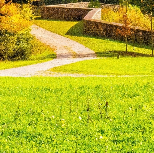 粉象生活多久上线