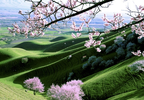 粉象生活下载app