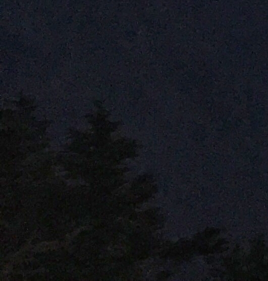 做粉象生活感受