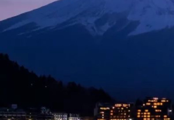 浅粉象啤酒怎么样