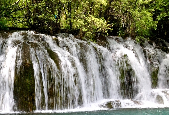 粉象生活怎么注销