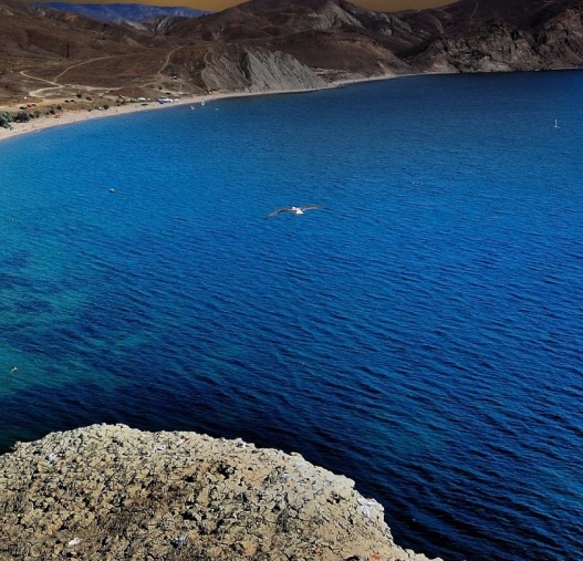 如何选择中药打粉机