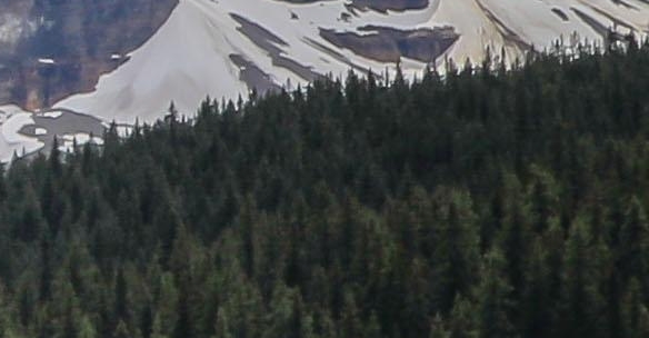 粉象生活邀请码