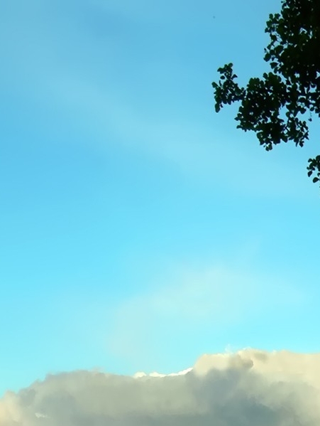 粉象生活赚钱教程