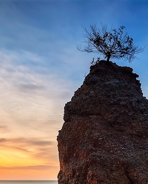 上海正规粉象生活