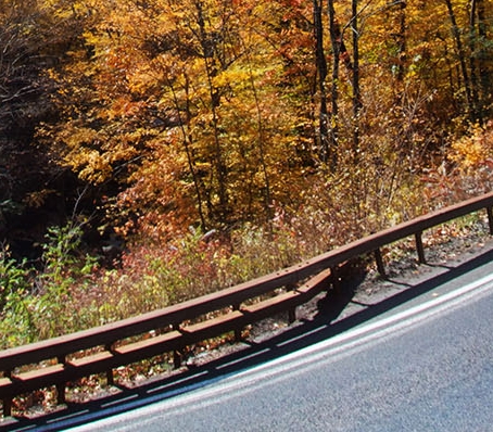 比利时粉象啤酒