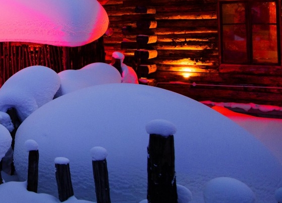 粉象生活下载app