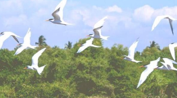 粉象生活收款二维码