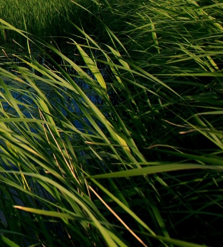 粉象生活是正规软件吗