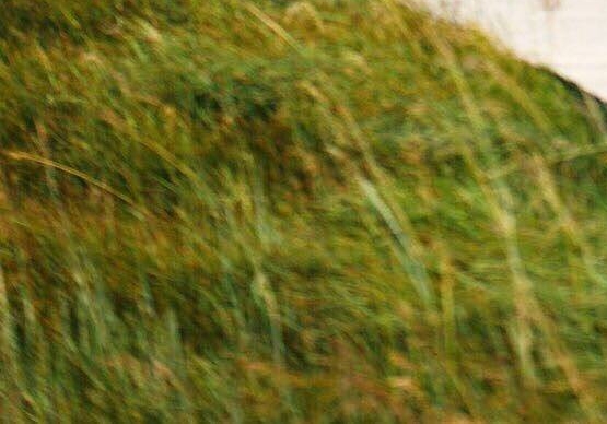 粉象生活分佣金