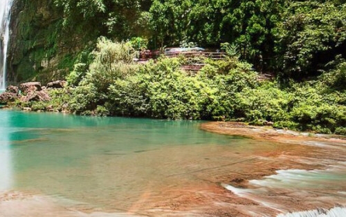 湖北品质粉象生活网站