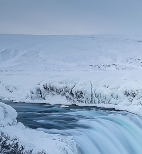 粉象生活是个什么样的平台