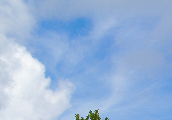 粉象生活和花呗有什么区别