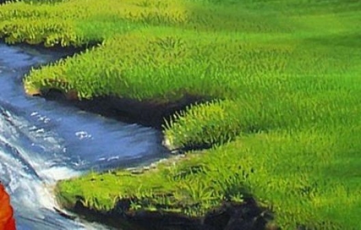 省钱快报粉象生活