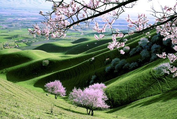 韶关粉象生活积分