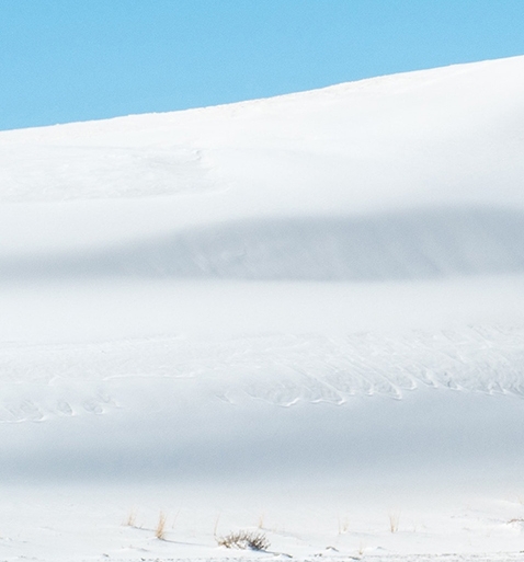 粉象生活能赚到钱吗