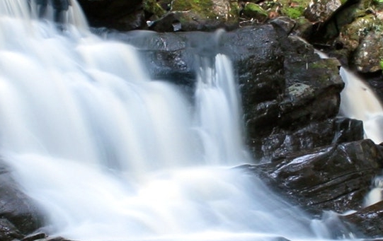 粉象生活赚钱模式是什么