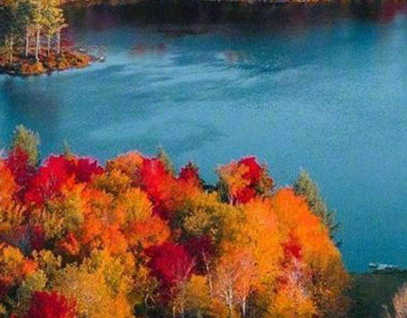 粉象生活怎么设置微信登录