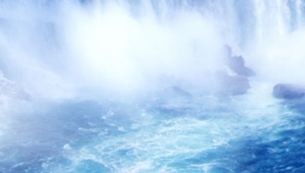 最新版粉象生活app下载安装