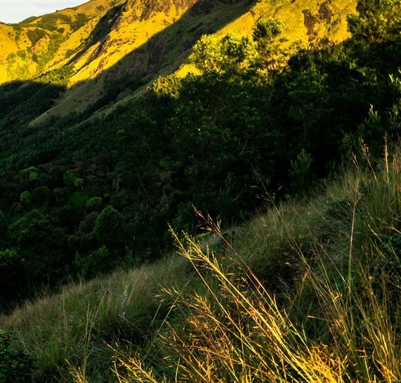 粉象生活安全可靠吗