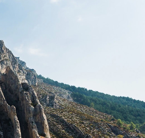 粉象生活怎么赚钱的