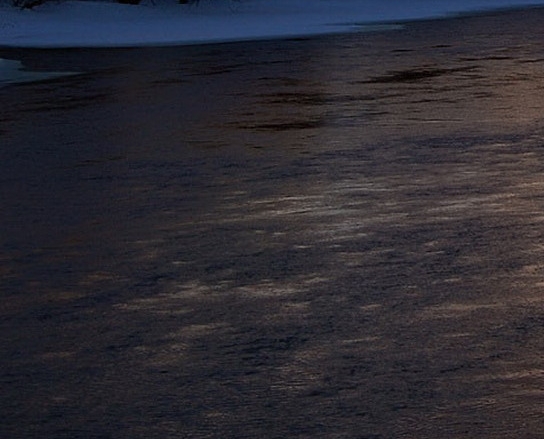 粉象生活奖励标准