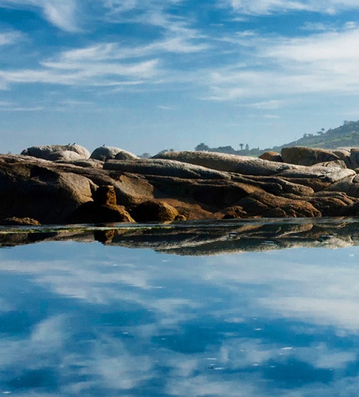 粉象生活邀请码