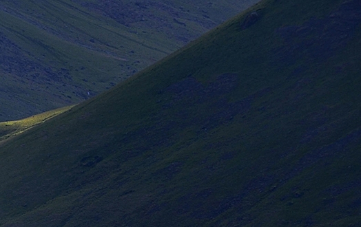 粉象生活怎么升级店铺